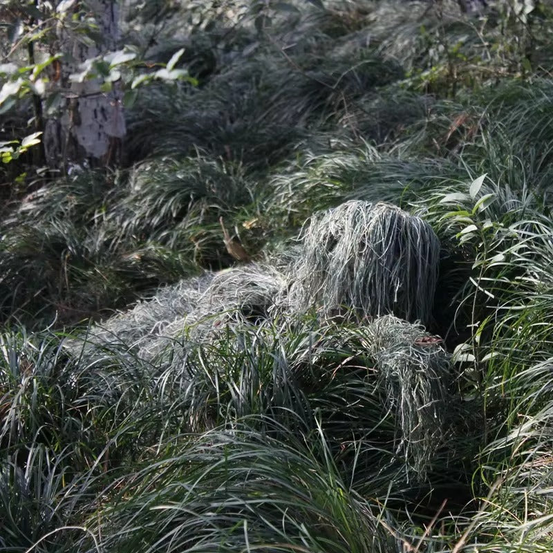Tenue de camouflage type 2