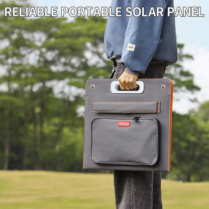 Panneau solaire 60 W (pour générateur type 1)