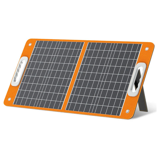 Panneau solaire 60 W (pour générateur type 1)