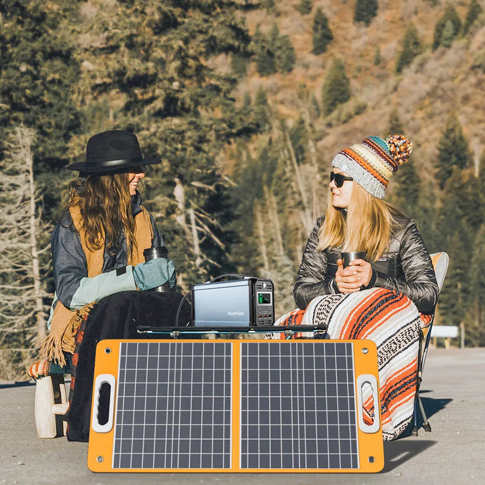 Panneau solaire 60 W (pour générateur type 1)