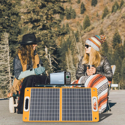 Panneau solaire 60 W (pour générateur type 1)
